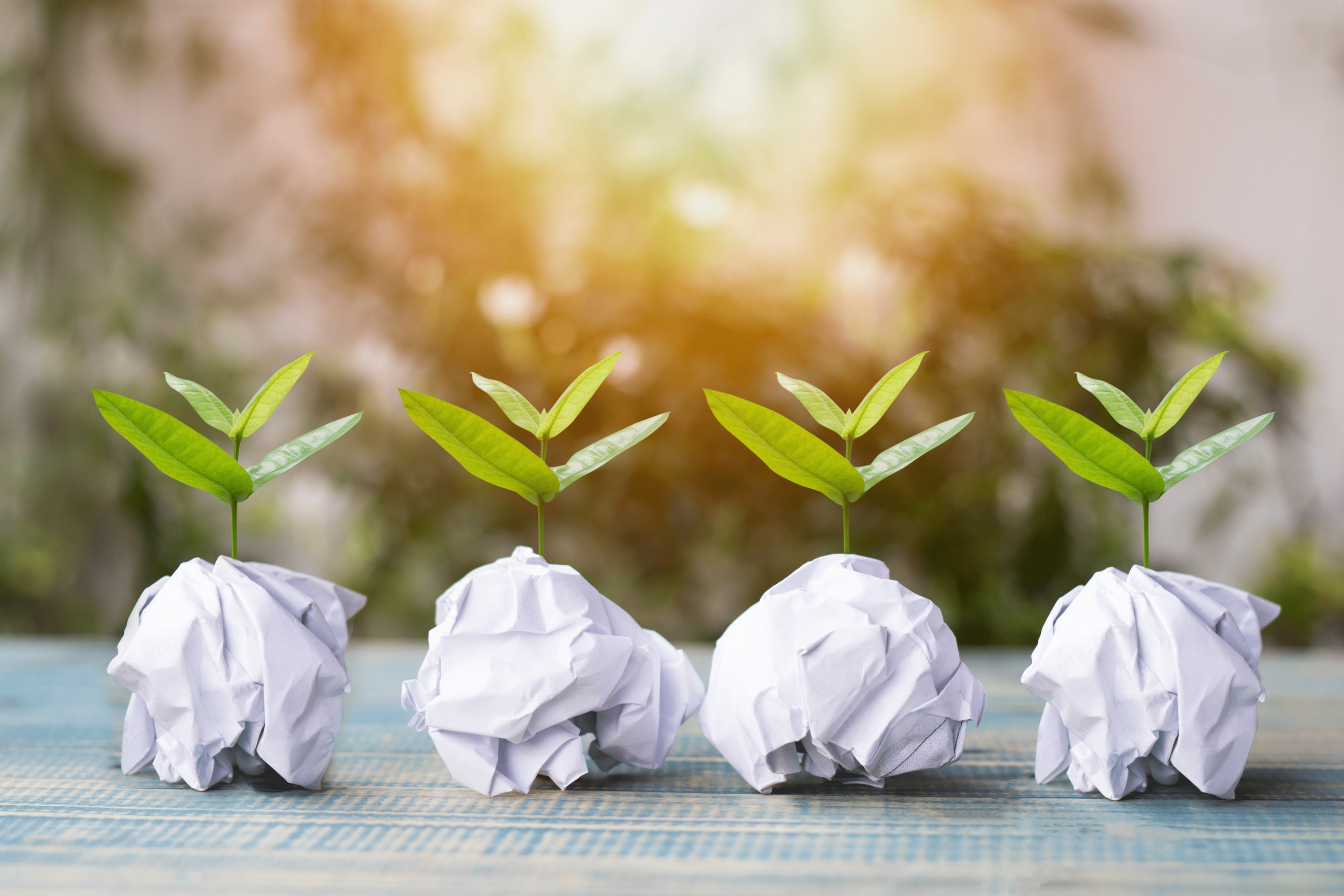 Recyclingpapier - Recycle for the Lifecycle