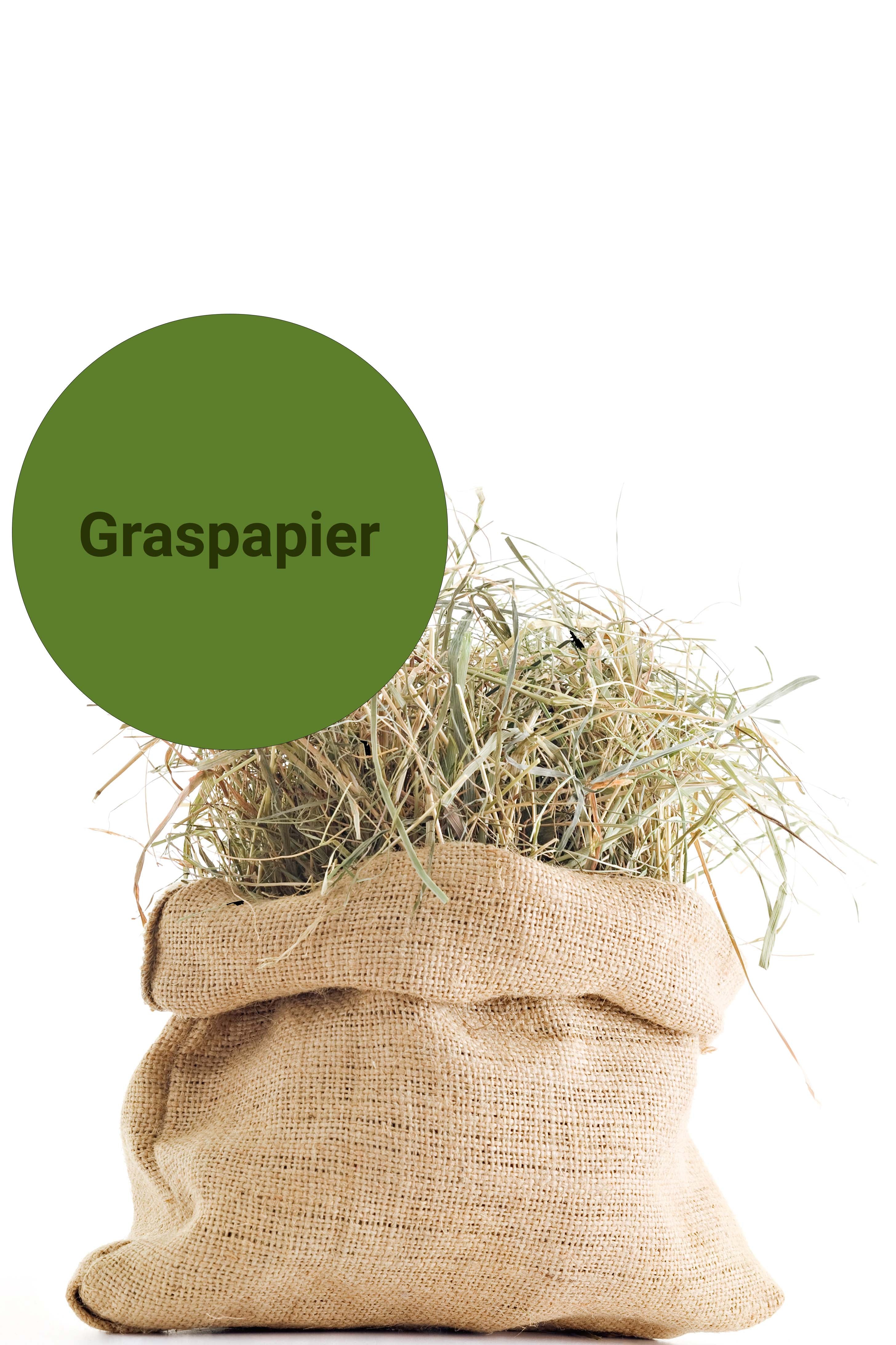 ENDI-HAFT Schreibpapier aus Gras im Format SRA3 320x450 mm 100 Blatt, Grammatur 90 g/m²